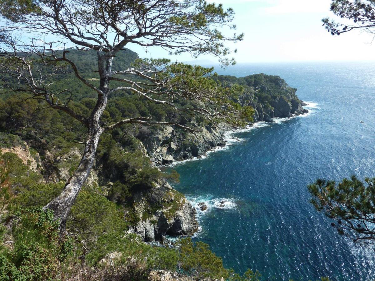 Hotel Le Mediterranee Hyères المظهر الخارجي الصورة